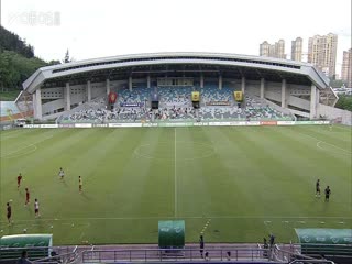 国产狗狗网站推荐视频大全