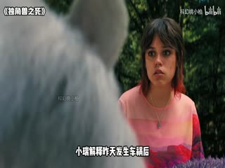日韩av无广告