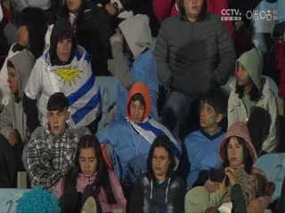 播放器能下载你懂的网站
