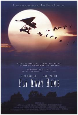 伴你高飛 Fly Away Home[電影解說(shuō)]