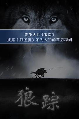 sm视频你懂的