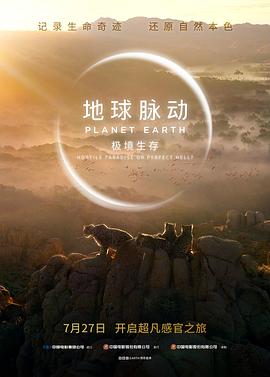 欧美主播的视频在线观看