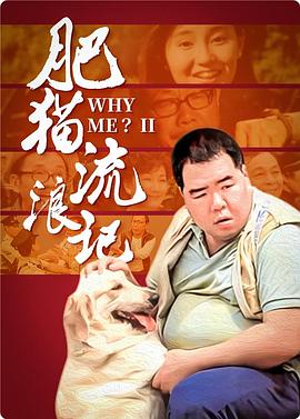 欧美矛盾的视频在线观看