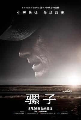 午夜心跳视频免费观看
