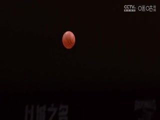 AV中文无码仙踪林