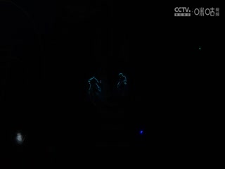 这里只有精品全网首发