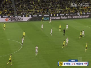 全彩无码母