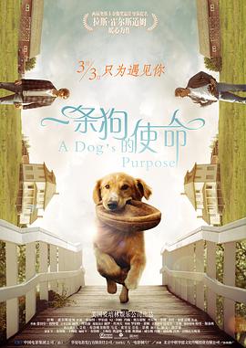 熟妇午夜熟妇视频