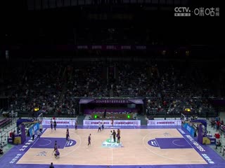 国产一机毛片在线